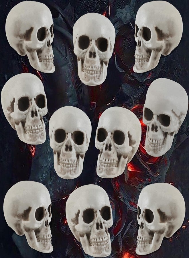 Junware 10 Pcs Halloween Skulls Realistic Looking Skulls Skeleton Head for Halloween Bar Home Table Decoration Model Human Skeleton Statue (1.6 x 1.8 x 2.3 Inches) - Image 1